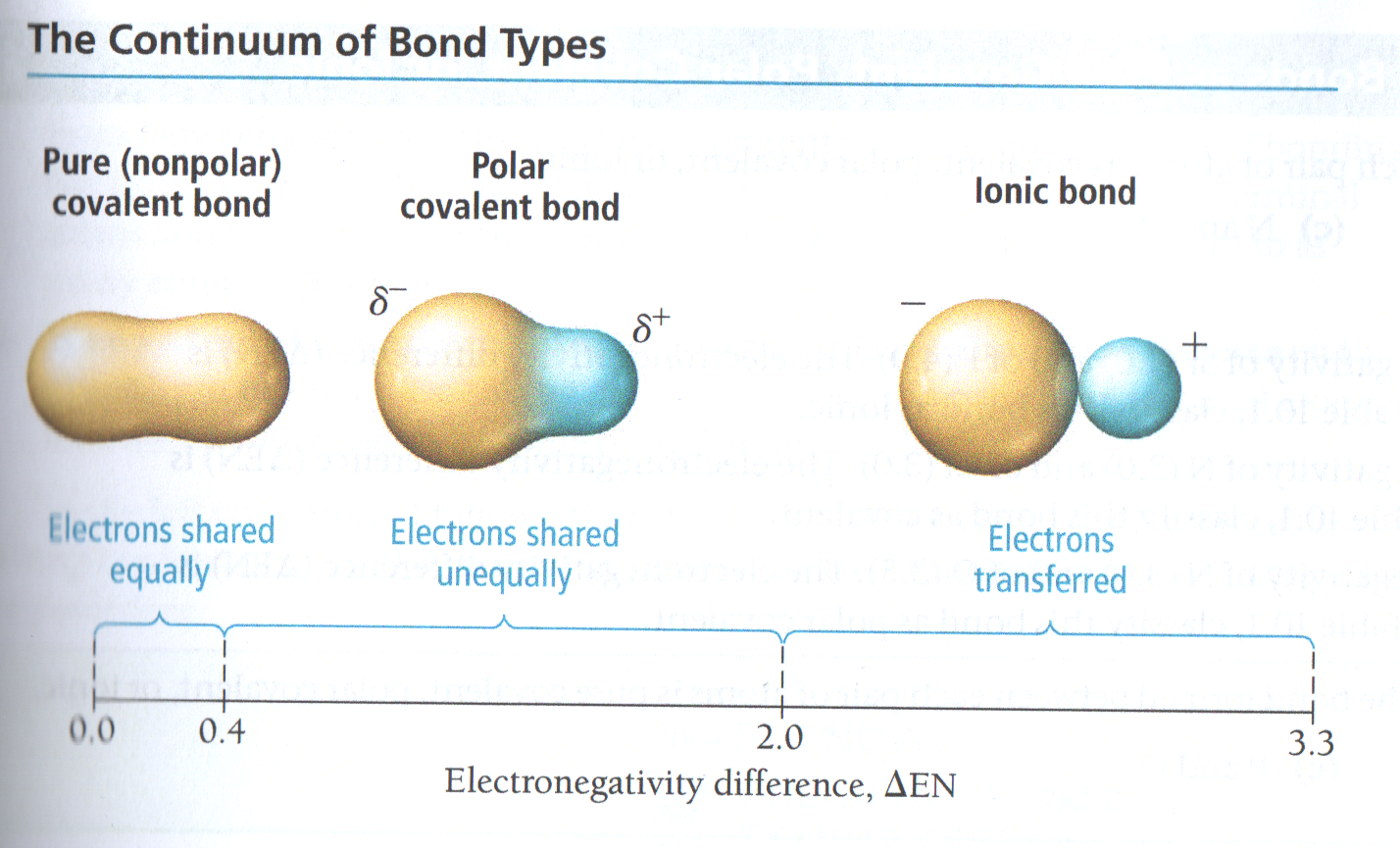 bondtypes.png