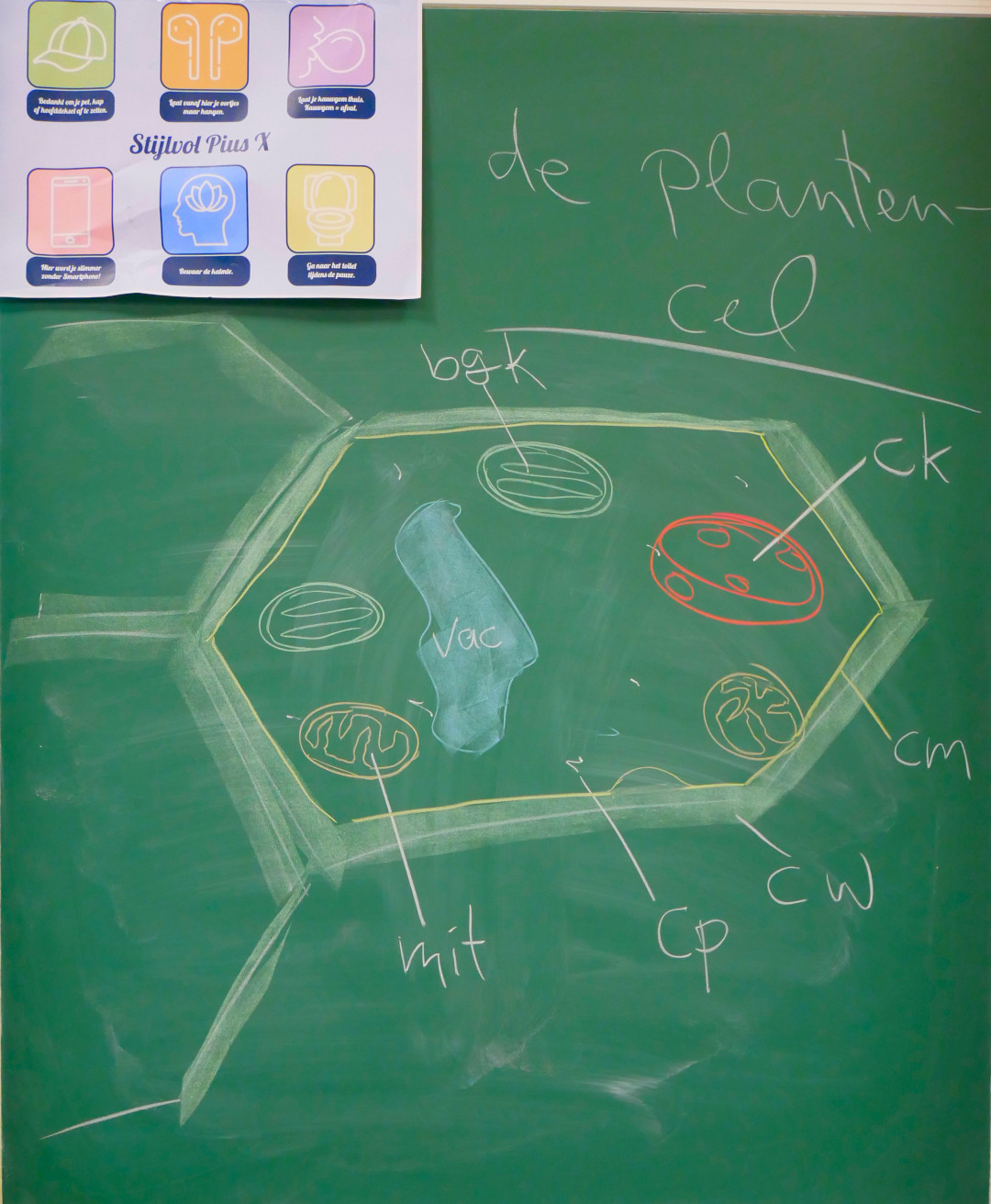 plantencel_schema.jpg